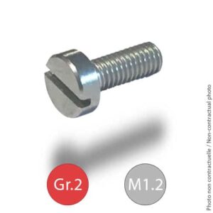 Titanium screw DIN84 - M1.2