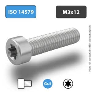 TITANIUM SCHROEF ISO14579 – KWALITEIT 5/TA6V – M3x12